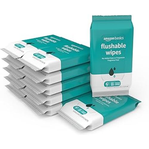 Amazon Basics Flushable Adult Toilet Wipes, Fragrance Free, 504 Count (12 Packs of 42)