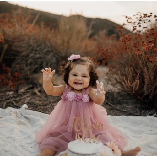 Baby girl Dusty Pink Dress, Flower girl dress, Birthday Dress, Summer dress, Cake Smashing Dress, Spring Dress, Dress for Girl, Photoshoot