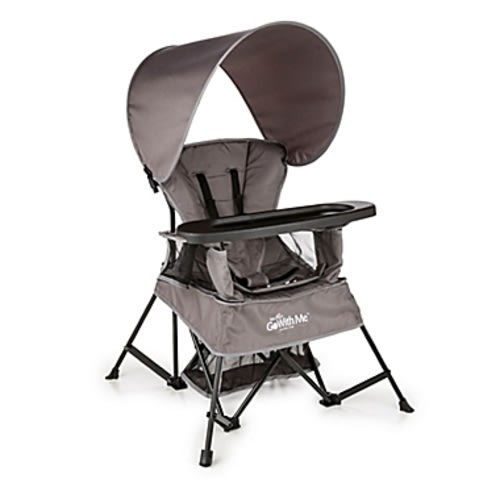 Baby Delight® Go With Me™ Venture Portable Chair in - Grey