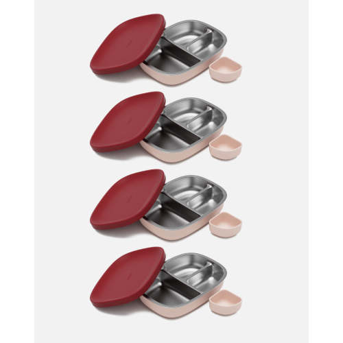 Bento Box - Berry & Cream / 4 Pack