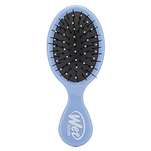 Wet Brush Detangling Brush, Mini Detangler Brush (Sky) - Wet & Dry Tangle-Free Hair Brush for Women & Men - No Tangle Soft & Flexible Bristles for Straight, Curly, & Thick Hair