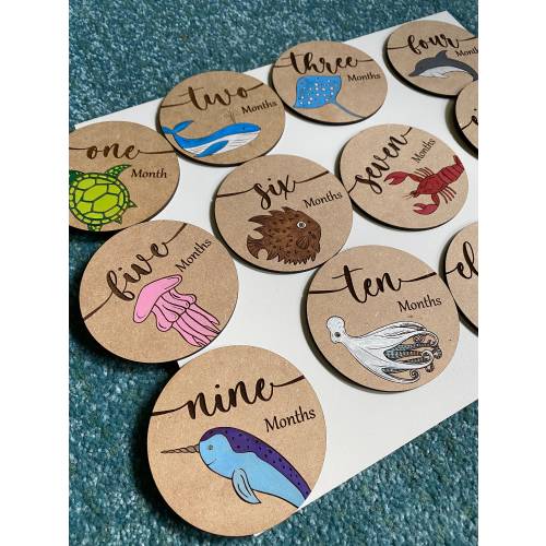 Sea Life Baby Monthly Name Milestone Markers - Newborn Photo Shoot, Monthly Baby Photos, Baby Shower Gift