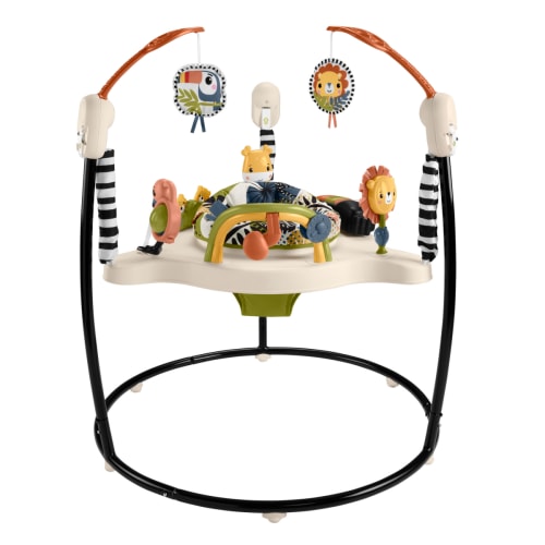 Fisher-Price® Palm Paradise Jumperoo®