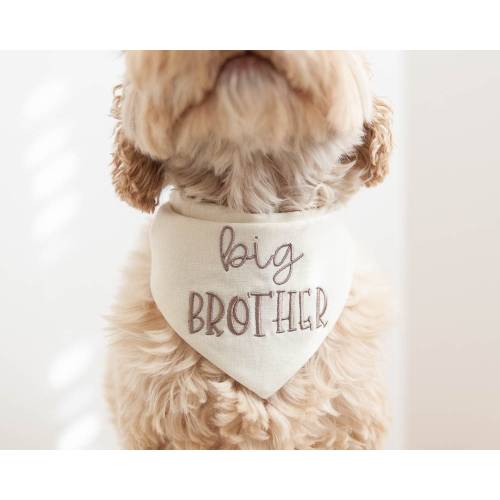 Big Brother Dog Bandana with Snaps Bandana for Dog Pregnancy Announcement New Dog Sibling Dog Mom Gift | CHOOSE FABRIC COLOR