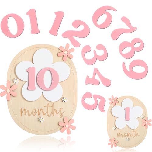 Beeveer 12 Months Baby Monthly Milestone Cards with 11 Interchangeable Numbers for Baby Growth Recording Daisy Wooden Bohemian Milestone Blocks Milepost Signs Boy Girl Photo Props