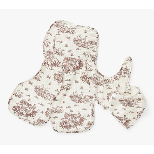 Disney's Winnie the Pooh Toile Organic Bib and Burp Cloth Set