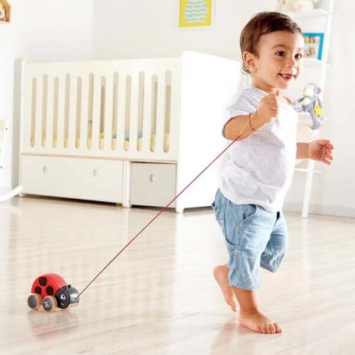 Hape: Pull Along Ladybug - Red & Black, Wooden Toy - Hape | Maisonette