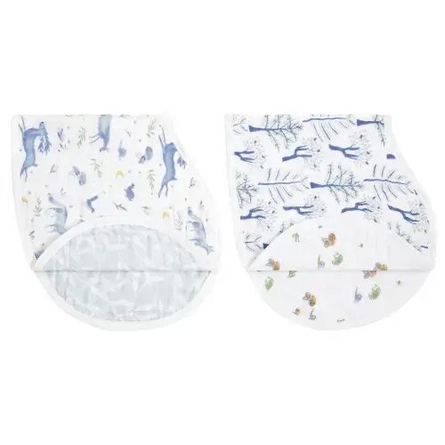 Outdoors Organic Cotton 2pk | aden + anais