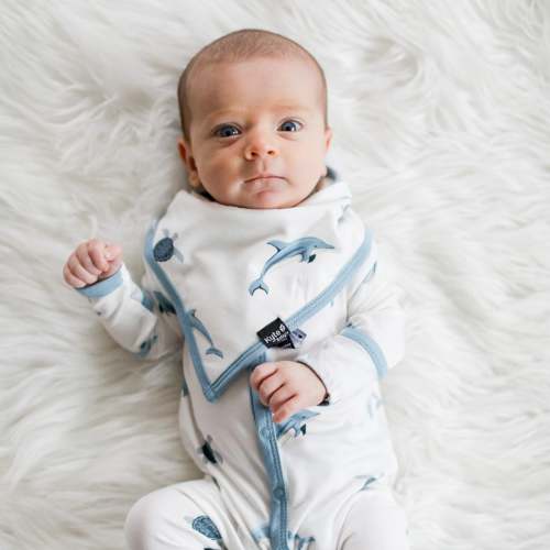 Bib in Dolphin