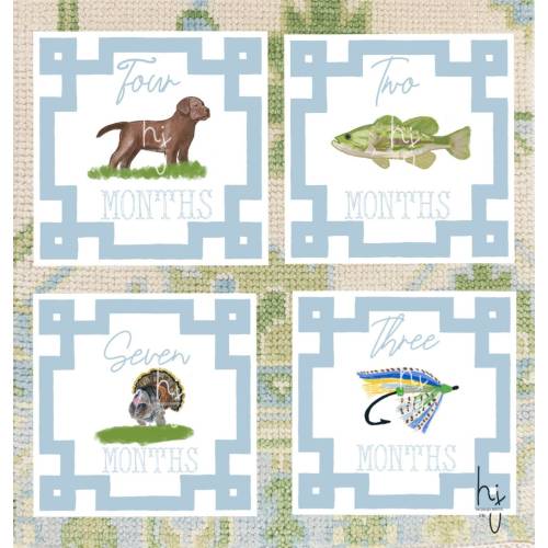 Boy Milestone Cards | Milestone cards | Stork | Baby Gift | New Mom | Gift Ideas | Baby Shower | Baby Month Cards | Memories | Baby Boy