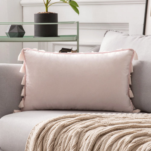 WARISI Rectangular Velvet Pillow Cover & Insert & Reviews | Wayfair