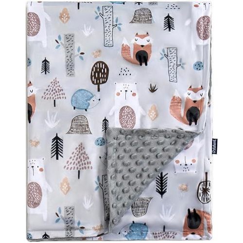 QSTEHEML Baby Blankets for Boys Neutral,Super Soft Nursery Minky Blanket Unisex, Baby Gifts Double Layer with Dotted Backing, Newborn Blankets for Crib Stroller(Fox, 30 * 40inch)