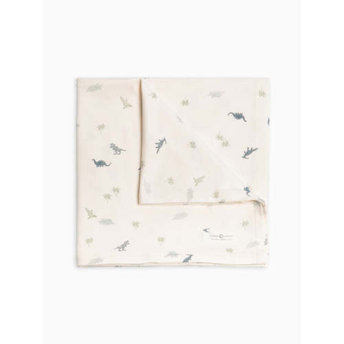 Dino-Mite Collection Swaddle Blanket