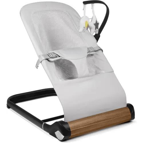 Baby Bouncer Chair - Comfortable Support for Your Little One's Blissful Moments (Net, Light Grey)