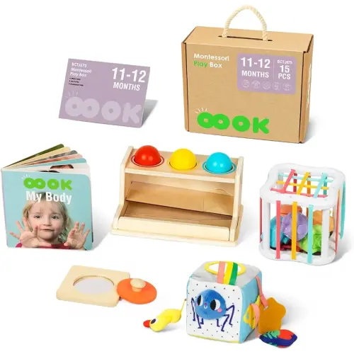Montessori Toys for 1 Year Old, 5 in 1 Learning Educational Wooden Toys Set (Includes Push Balls Set,Shape Sorter,Mirror Puzzle,Cloth Toys Box and More)