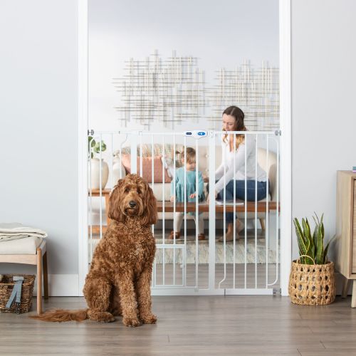 Top Paw® Extra-Tall Walk-Through Dog Gate - Pet Gate