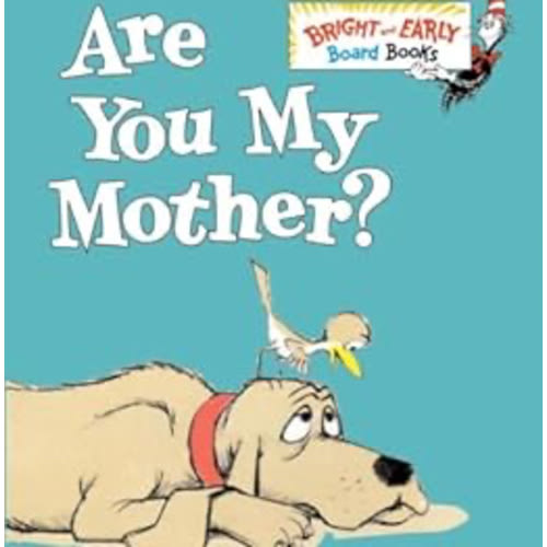 Are You My Mother? book by P.D. Eastman