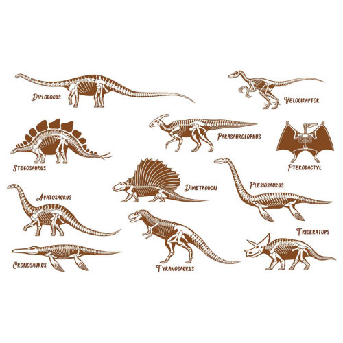 Hokku Designs Premium Peel & Stick Wall Mural - Dinosaur Illustration Set | Wayfair