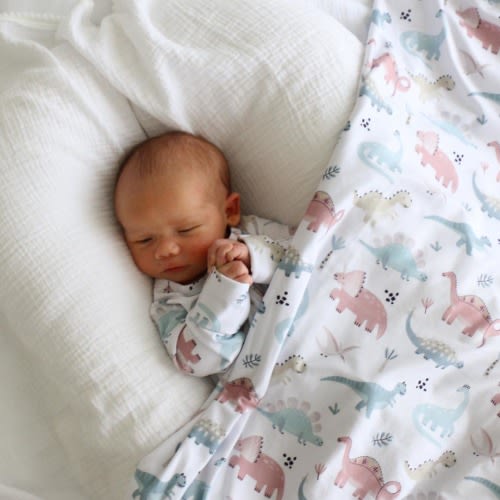 Prehistoric Pals Oversized Swaddle Blanket