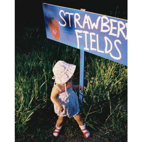 Poet Baby Sunhat - Strawberry Check