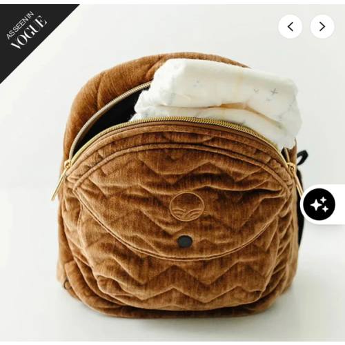 The Tushbaby Hip Carrier