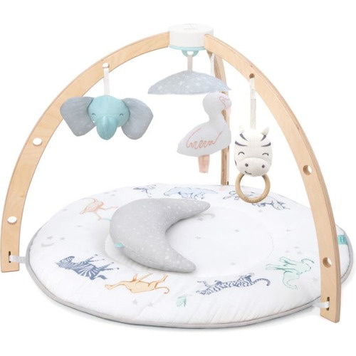 aden + anais Play & Discover Baby Activity Gym, Rising Start