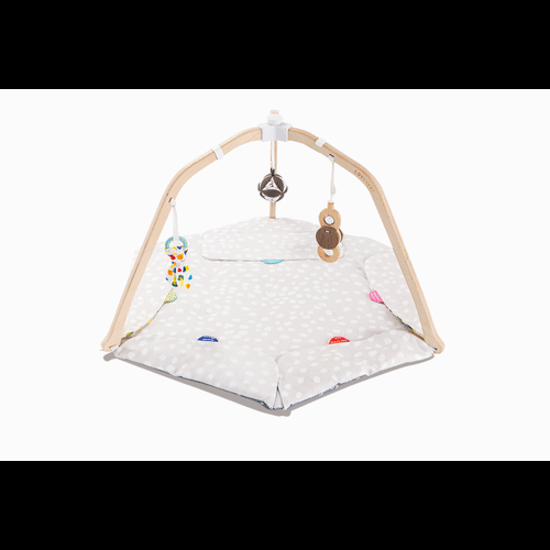 The Play Gym | Baby Activity & Tummy Time Mat | Lovevery