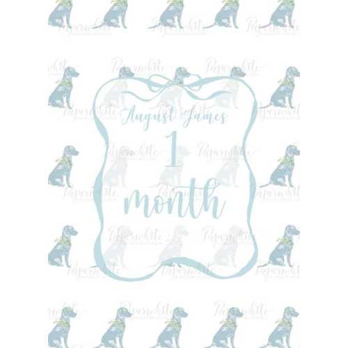 Baby Boy Dog Milestone Cards