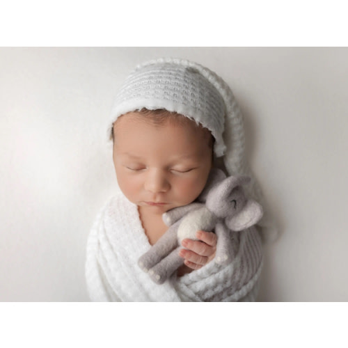 Newborn Photos