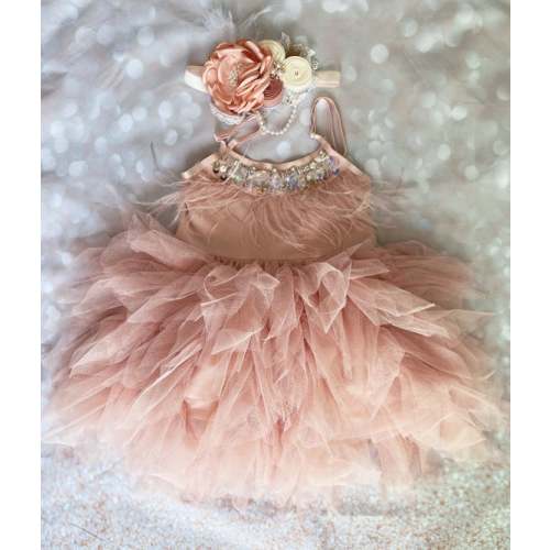 1er birthday. Dress, Mauve /pink flower girl dress, Feathers top,Baby toddler dress, flower girls dresses