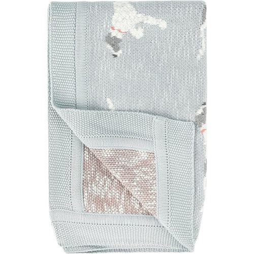 Creative Co-Op DF2527 40" L x 32" W Cotton Knit Baby Dog Blanket, Blue, Small