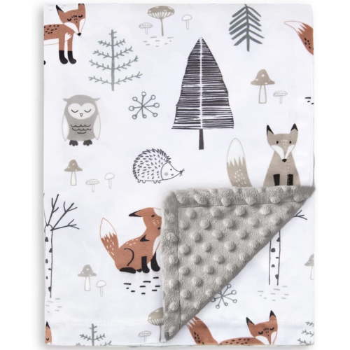 Baby Blanket for Boys Girls Soft Plush Minky Blanket with Double Layer Dotted Backing for Toddler with Forest Foxes Multicolor Printed 30 x 40 Inch(75x100cm)