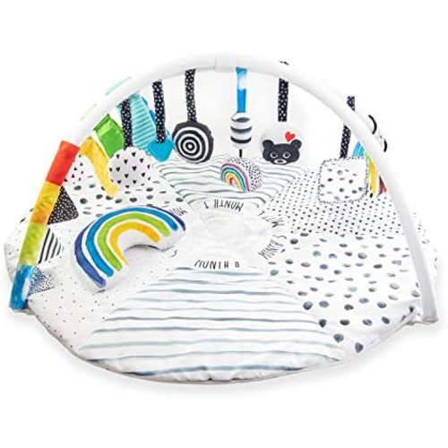 Sassy Stages STEM Developmental Play Gym, Sensory Tummy Time Activity Play Mat w/Built-in Instructions, Ultra Plush & Machine Washable Playmat for Babies & Toddlers