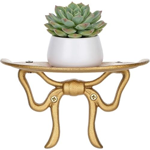 Hicarer Gold Bow Floating Shelf for Wall, Cast Iron Decorative Wall Mounted Shelves Metal Book Stand Display Rack Kawaii Room Decor for Bedroom, Living Room, Bathroom, Entryway, Nursery