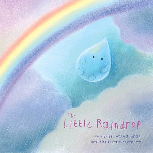 The Little Raindrop Hardcover – Picture Book