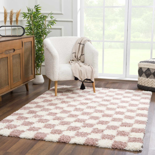 Atiran Checkered Shag Pink Area Rug