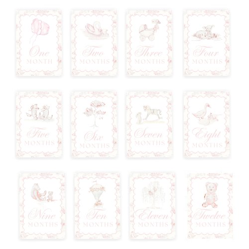 Grandmillennial Toile Milestone Cards | Girl
