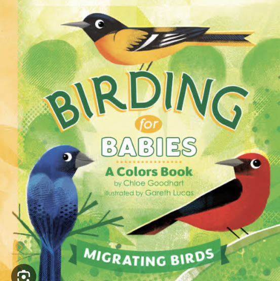 Birding for Babies: Migrating Birds: A Colors Book