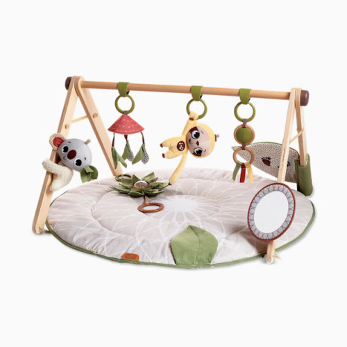 Tiny Love Boho Chic Luxe Developmental Gymini