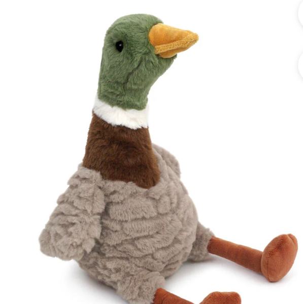 River Mallard Duck