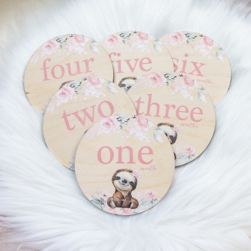 Girl Sloth Milestone Cards, Sloth Milestone Markers, Wood Milestone Cards, Baby Milestones, Photo Prop, Sloth Nursery Theme S45