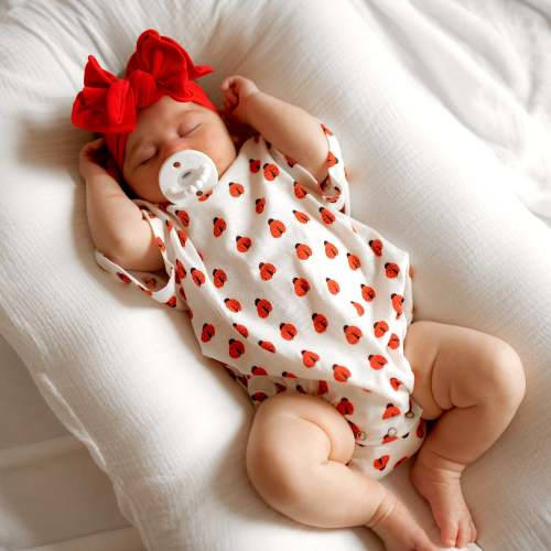 Ladybug / Organic T-Shirt Bubble