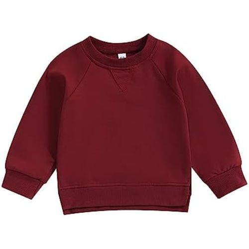 Toddler Baby Boy Girl Clothes Solid Color Crewneck Sweatshirt Long Sleeve Pullover T Shirt Tops Fall Winter Outfit