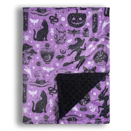 Baby Blanket for Boys Girls Soft Minky with Double Layer Dotted Backing, Halloween Printed 30 x 40 Inch Receiving Blanket (Halloween Witch)