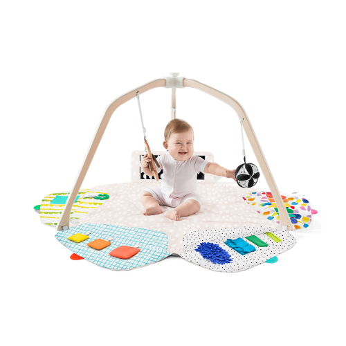 The Play Gym