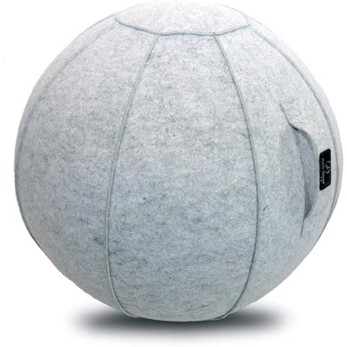 ProBody Pilates Yoga Ball Chair - Exercise Ball Chair for Office Desk with Cover for Posture Support (24 in)
