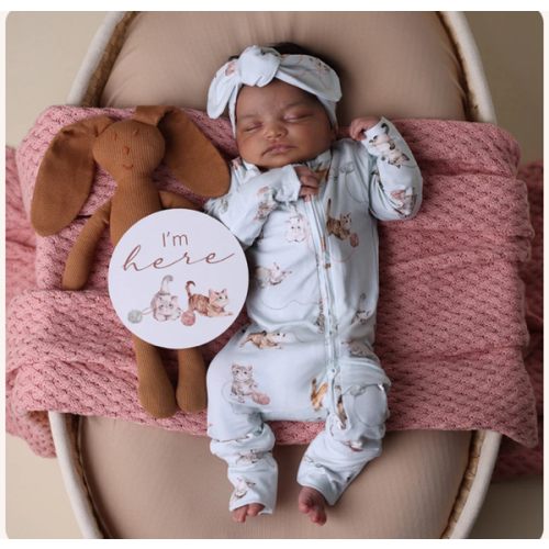 Kittens & Pebble Reversible Milestone Cards | Snuggle Hunny