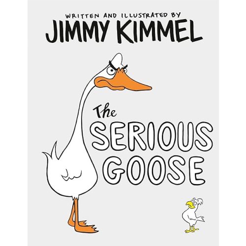 The Serious Goose Hardcover – Picture Book, December 3, 2019