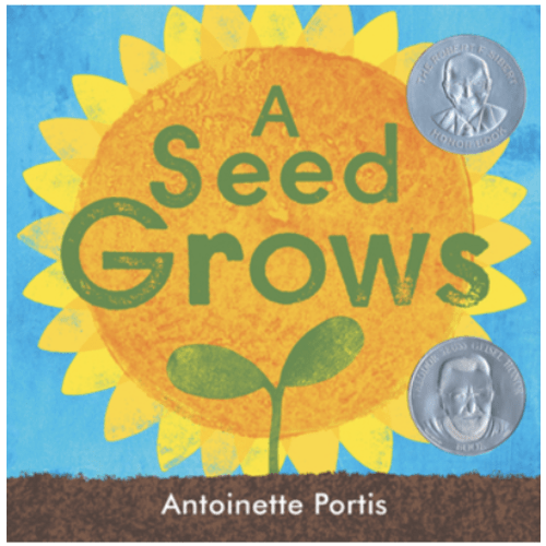 A seed grows by Antoinette Portis