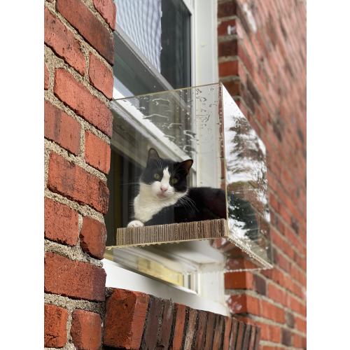 Custom Fit Catio For Your Window (Fits 24”-36” Windows)